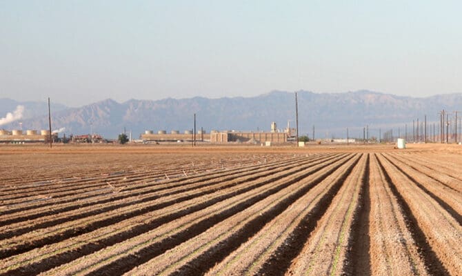 Imperial Valley farmland with mountains in the distance